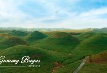 Gunung Bagus, Hamparan Luas Hijaunya Perbukitan