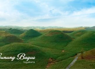 Gunung Bagus, Hamparan Luas Hijaunya Perbukitan
