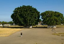Alun-alun Kidul, Halaman Belakang Kraton Jogja Yang Menawan