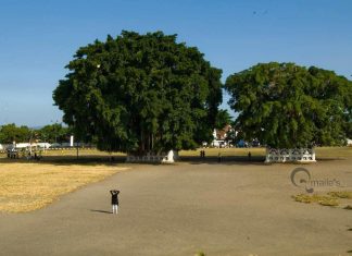 Alun-alun Kidul, Halaman Belakang Kraton Jogja Yang Menawan