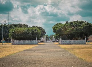 Berbagai Aktifitas Menarik di Alun Alun Lor Yogyakarta