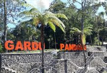 Inilah Pesona Wisata Gardu Pandang Kaliurang Sleman, Yogyakarta