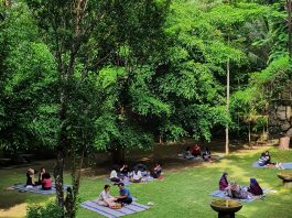 Inilah Keunikan Serta Fasilitas Restoran Jiwa Jawi yang Bisa Anda Nikmati