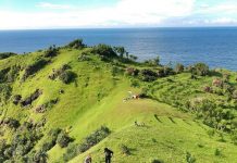 Menelisik Lebih Jauh Keindahan Objek Wisata Alam Bukit Pengilon Gunung Kidul