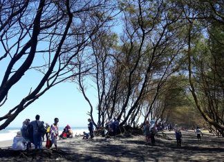 Pantai Kuwaru: Keindahan yang Nyaris Terlupakan