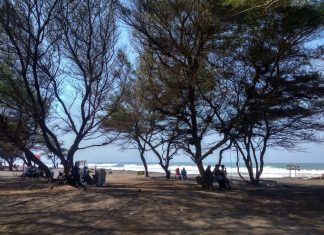 Pantai Mlarangan Asri