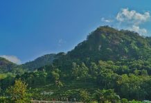 Wisata Alam Sriharjo