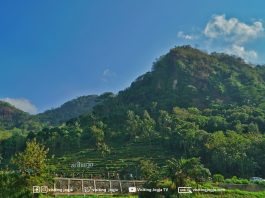 Wisata Alam Sriharjo