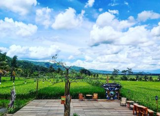 Review Terbaru Kopi Klotok Menoreh Kulon Progo