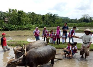 Tips Travelling Aman Ke Dolan Deso Mboro Yogyakarta