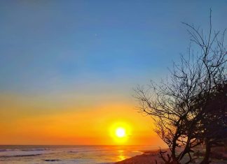 Aktivitas Santai di Pantai Trisik Yang Cocok Untuk Hilangkan Stress