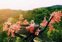 JAGAD MANGUNAN: Bukit Mojo