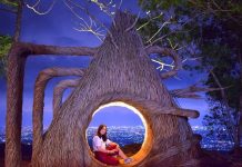 JAGAD MANGUNAN: Pinus Pengger