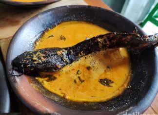 Mengetahui Keunggulan Masakan Mangut Lele Pak Gianto