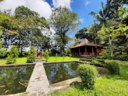 Desa Wisata Pentingsari