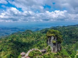 Desa Wisata Widosari: Pesona Alam, Budaya, dan Edukasi di Kulon Progo