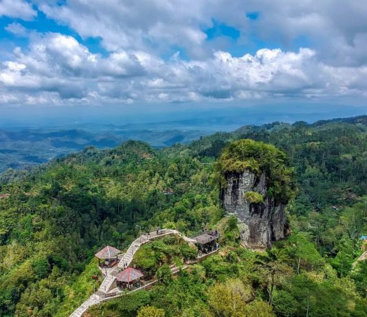 Desa Wisata Widosari: Pesona Alam, Budaya, dan Edukasi di Kulon Progo