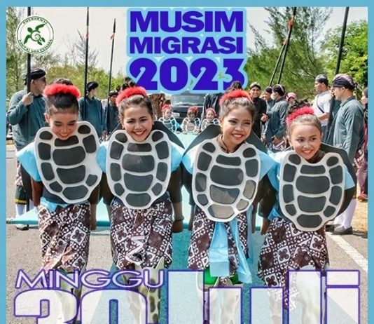 Rilis Tukik Penyu Musim Migrasi 2023 (30 Juli 2023)