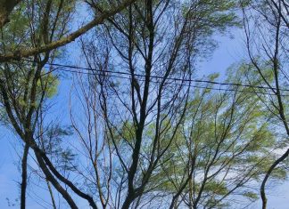 Menjelajahi Keindahan Tersembunyi di Pantai Cangkring