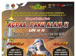 Lomba Besar Seni Suara Alam Burung Derkuku Piala KGPAA Paku Alam Cup ke-9 (11 Mei 2025)