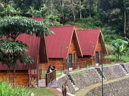 Glamping Glimpang Desa Wisata Purwosari Kulon Progo