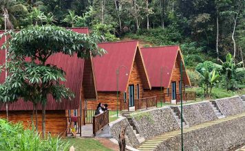 Glamping Glimpang Desa Wisata Purwosari Kulon Progo