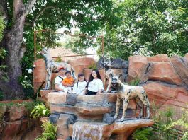 Gembira Loka Zoo Resmi Buka Zona Cakar Saat Libur Lebaran 2026, Hadirkan Satwa Baru Rubah Merah dan Anjing Liar Afrika